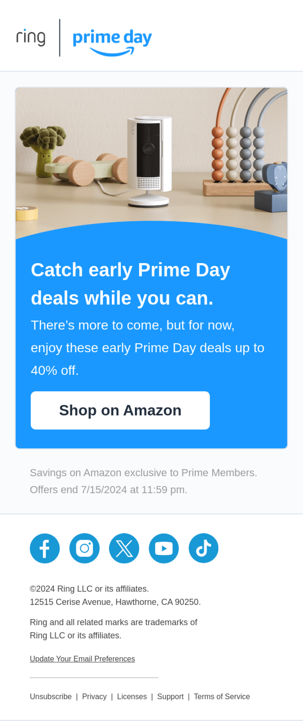 Email campaign example 10