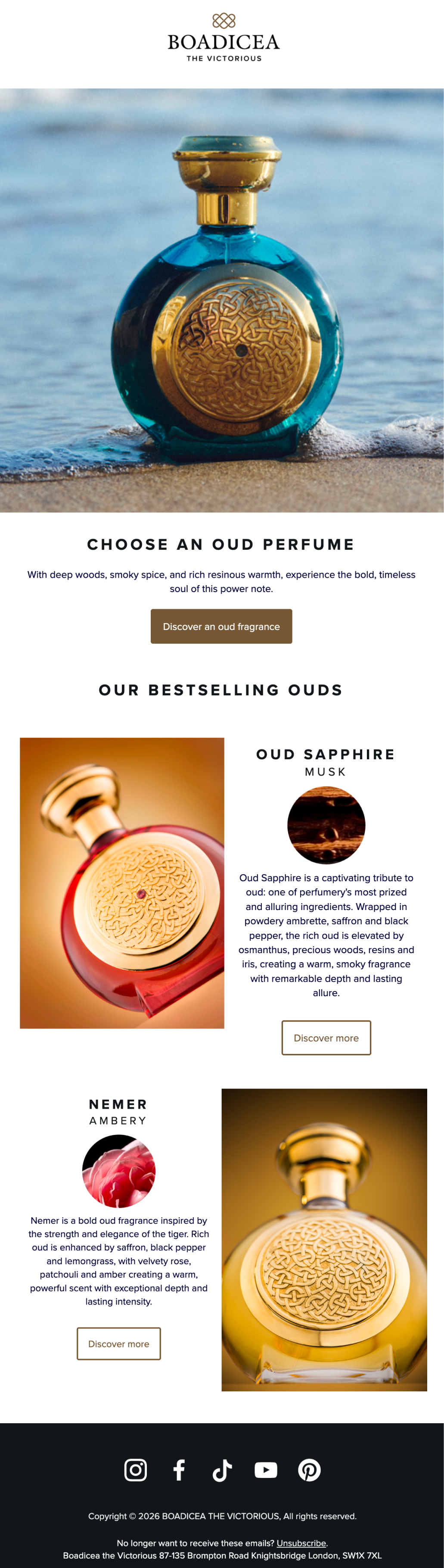 Email campaign example 3