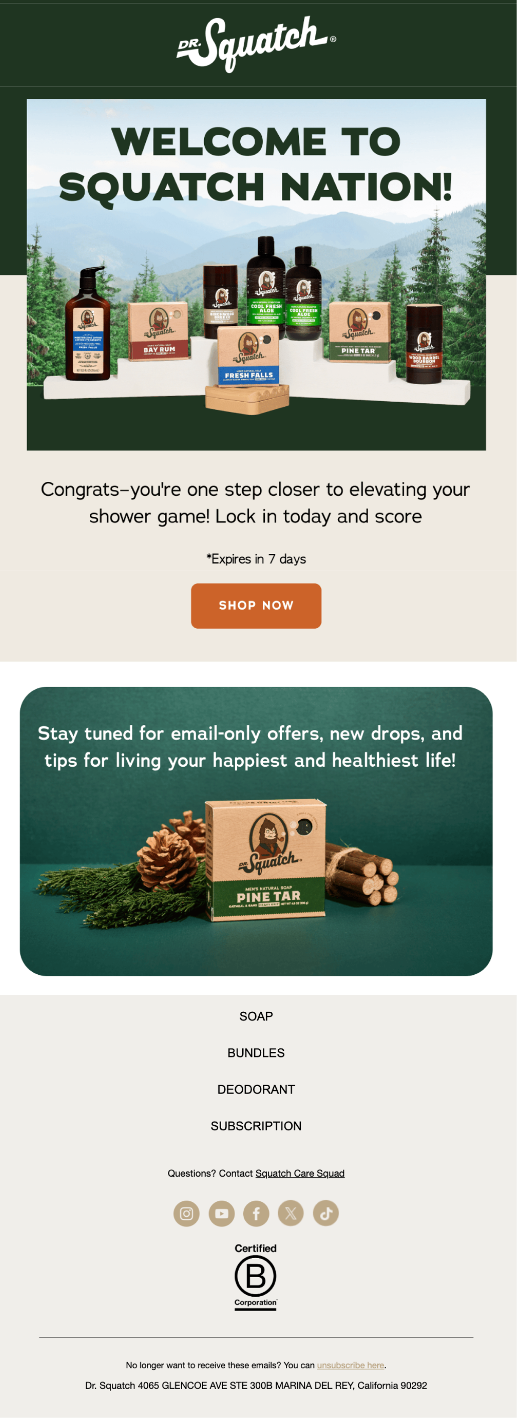Email campaign example 7