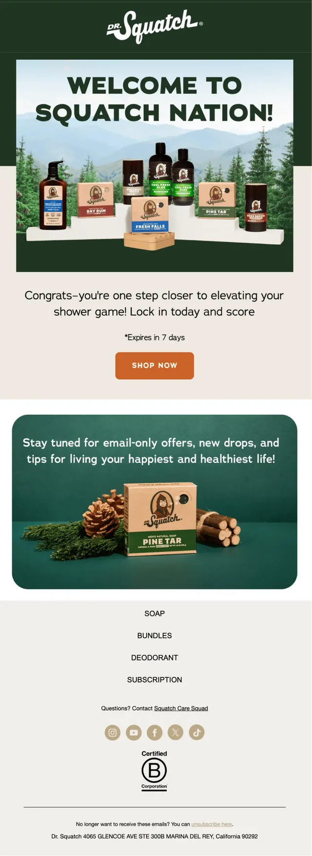 Email campaign example 7