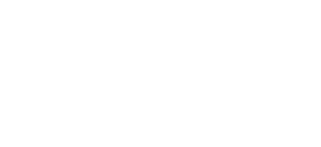 Klaviyo Partner