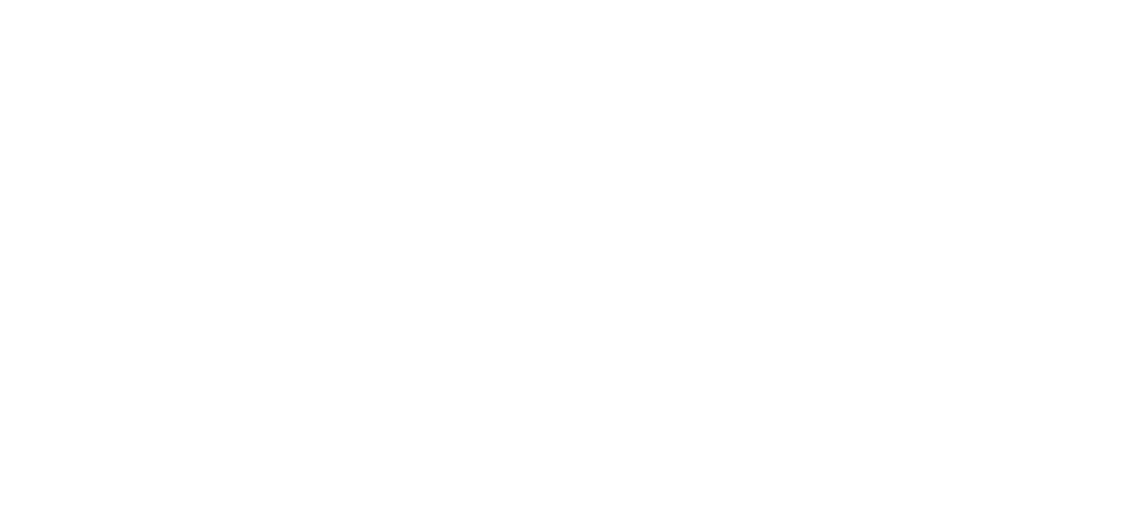 Klaviyo Partner