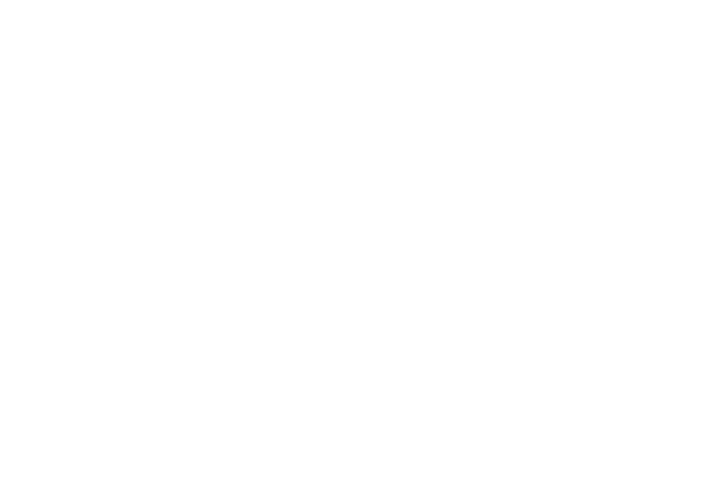 Meta Business Partner
