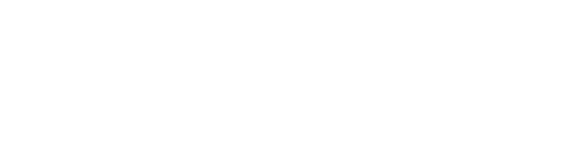 Shopify Partners