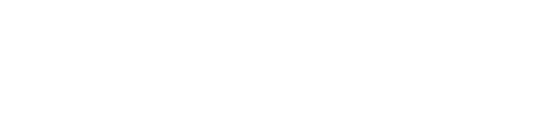 Shopify Partners