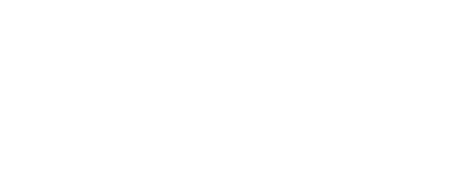TikTok Marketing Partner